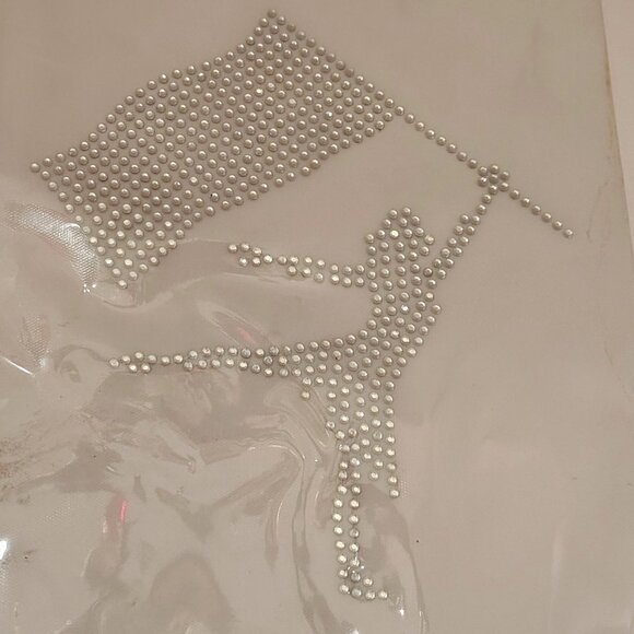 Color Guard Set of 2 Rhinestone Iron on Transfer Hot Fix Bling Sports School - Picture 2 of 5